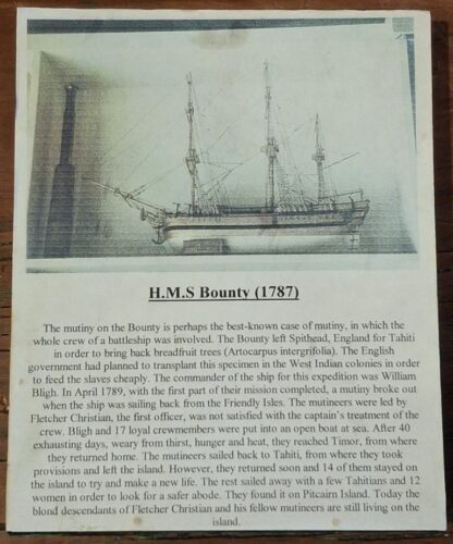 LOT 138 (32183) Est R2000 to R4000 – A 20th Century Large Scale Model Reproduction of an 18th Century British Merchant Ship, HMS Bounty (1787) - Image 9