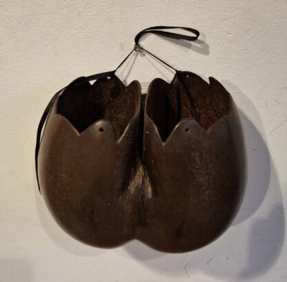 LOT 142 (30467) Est R2000 to R4000 – A Rare Vintage Coco de Mer Seed Sculptural Hanging Wall Vase